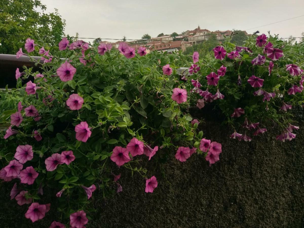 Guest House Vista Sighnaghi Exterior photo