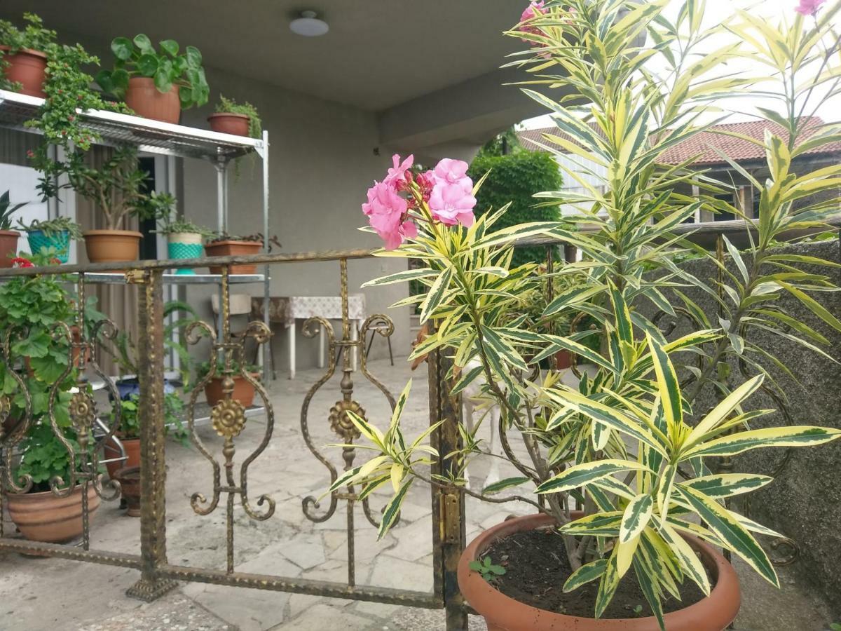 Guest House Vista Sighnaghi Exterior photo