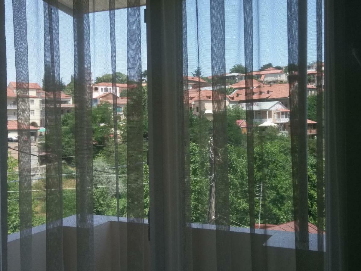 Guest House Vista Sighnaghi Exterior photo
