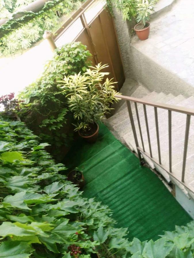 Guest House Vista Sighnaghi Exterior photo