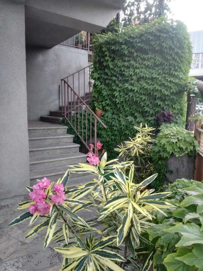 Guest House Vista Sighnaghi Exterior photo
